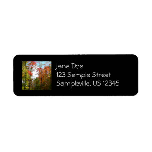 Fall Trees and Blue Sky Autumn Nature Photography Return Address Label
