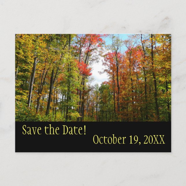 Fall Trees and Blue Sky Save the Date Postcard (Front)
