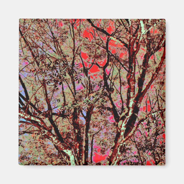 FALL TREES MAGNET (Front)