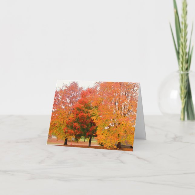 Fall Trees Note Card (Front)