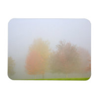 Fall trees shrouded in mist