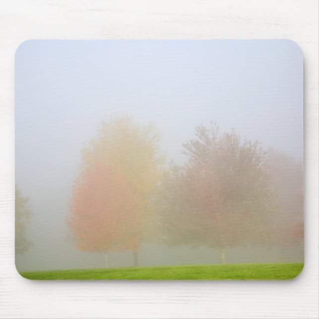 Fall trees shrouded in mist mouse pad (Front)