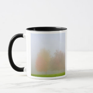 Fall trees shrouded in mist mug
