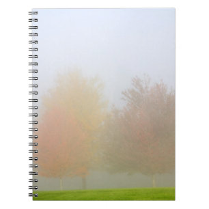 Fall trees shrouded in mist notebook