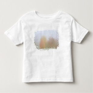 Fall trees shrouded in mist toddler T-Shirt