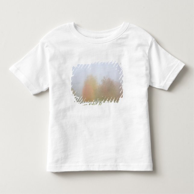 Fall trees shrouded in mist toddler T-Shirt (Front)