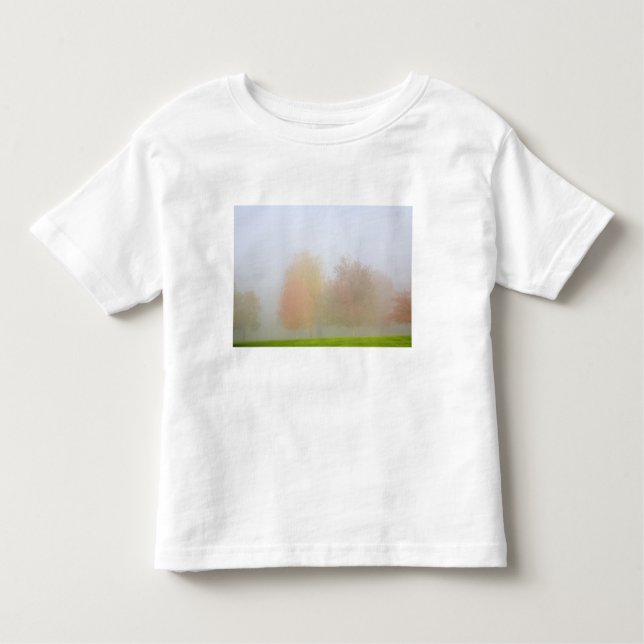 Fall trees shrouded in mist toddler T-Shirt (Front)