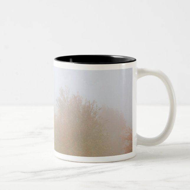 Fall trees shrouded in mist Two-Tone coffee mug (Right)