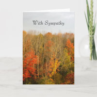 Fall Trees Sympathy