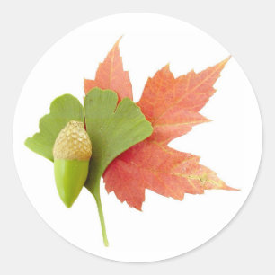 Fall Trio Classic Round Sticker