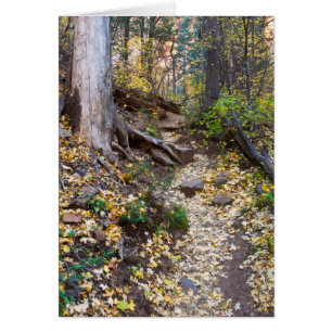 Fall upon the West Fork trail