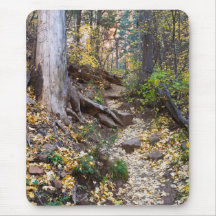 Fall upon the West Fork trail