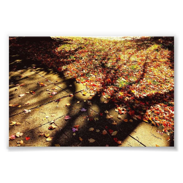 Fall Walk Photo Print (Front)