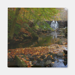 Fall Waterfall and Creek Pennsylvania Nature Magnet