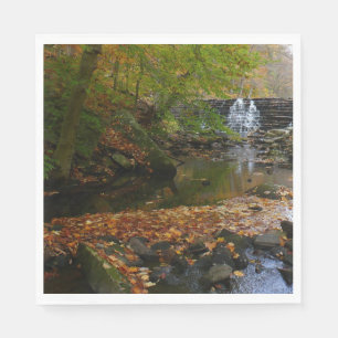 Fall Waterfall and Creek Pennsylvania Nature Napkin