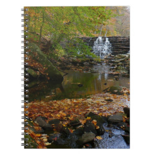 Fall Waterfall and Creek Pennsylvania Nature Notebook