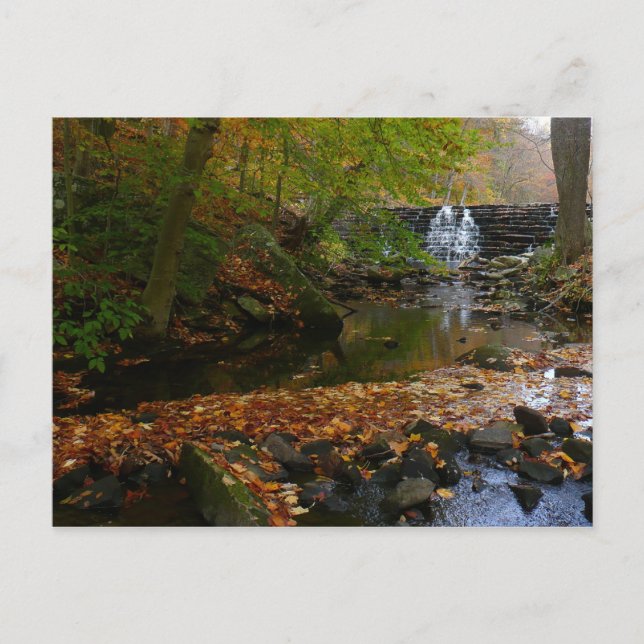 Fall Waterfall and Creek Pennsylvania Nature Postcard (Front)