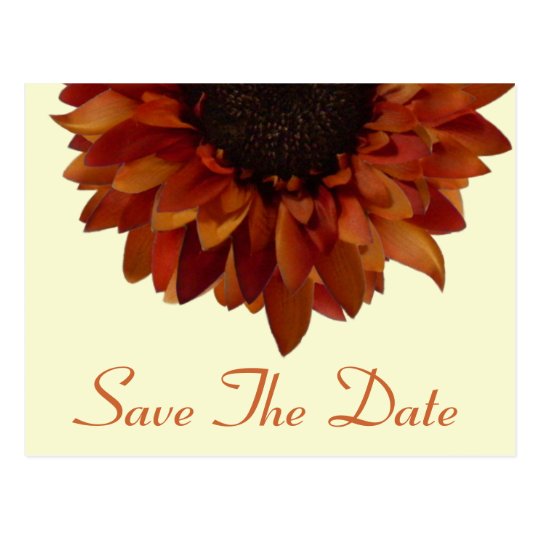 Fall Wedding Save The Date Sunflower Postcard
