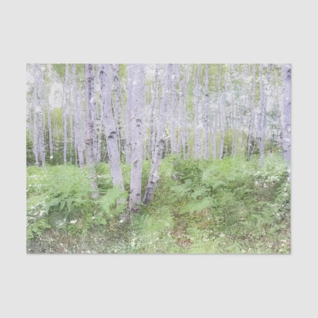 Fall Woodland Fern Distressed Forest Birch Trees Tissue Paper (Front)