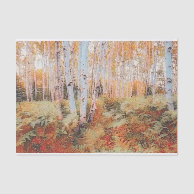 Fall Woodland Fern Forest Birch Trees Tissue Paper (Front)
