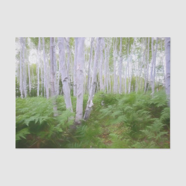 Fall Woodland Fern Green Forest Birch Trees Art Tissue Paper (Front)