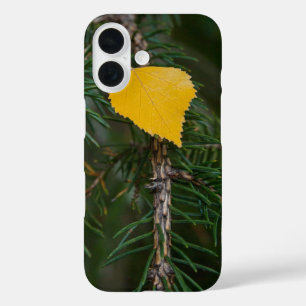 Fall Yellow Quaking Aspen Leave Photograph iPhone 16 Case