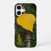 Fall Yellow Quaking Aspen Leave Photograph Custom