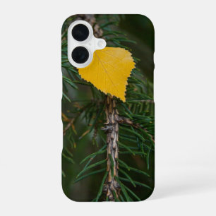 Fall Yellow Quaking Aspen Leave Photograph iPhone 16 Case