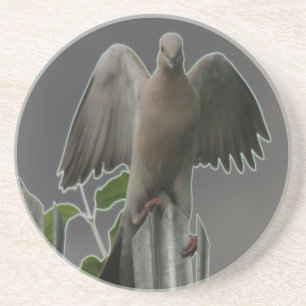 Fallen Angel Dove Coasters