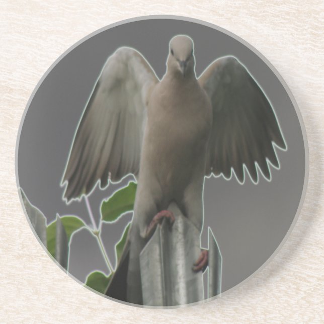 Fallen Angel Dove Coasters (Front)