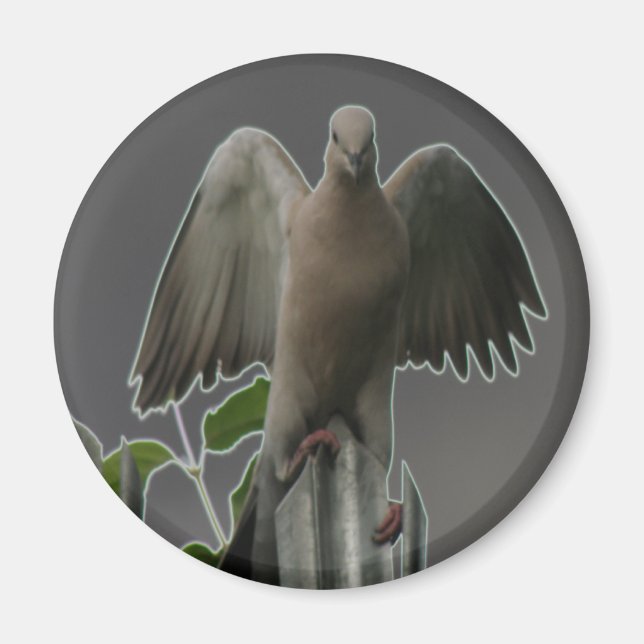 Fallen Angel Dove Magnet (Front)