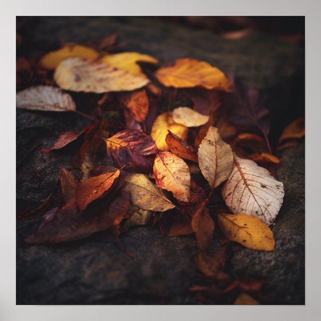 Fallen Autumn Leaves Art Print (Front)