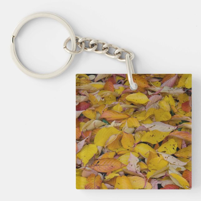 Fallen autumn leaves key ring (Front)