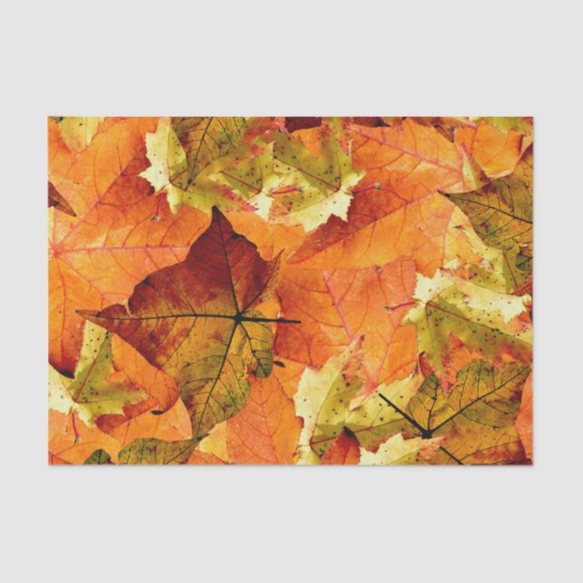 Fallen Autumn Leaves Tissue Paper (Front)