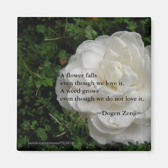 Fallen Camellia/ Zen Quote Magnet (Front)