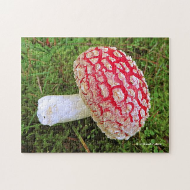 Fallen Fly Agaric / Amanita Muscaria Red Mushroom Jigsaw Puzzle (Horizontal)