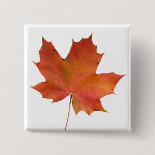 Fallen Leaf 01 15 Cm Square Badge