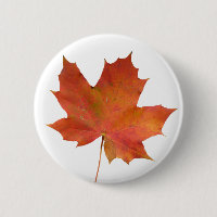 Fallen Leaf 01