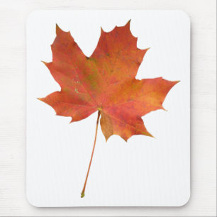 Fallen Leaf 01 Mouse Pad