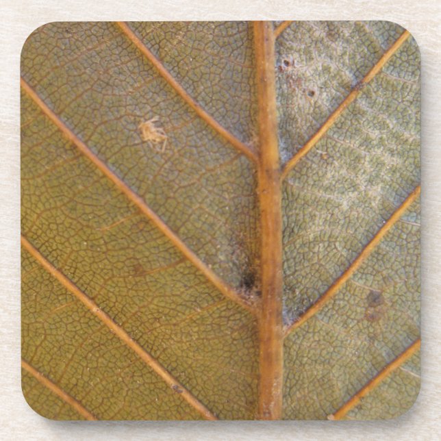 Fallen Leaf 10 Coaster (Front)