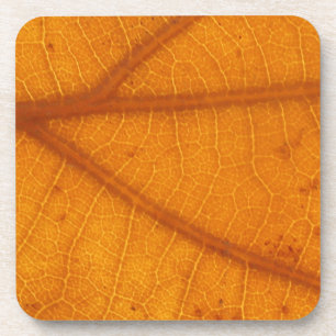 Fallen Leaf 14A Coaster