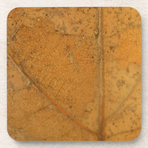 Fallen Leaf 2 Coaster