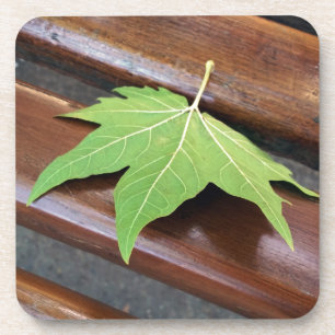 fallen leaf coaster
