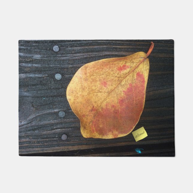 Fallen Leaf Doormat (Front)