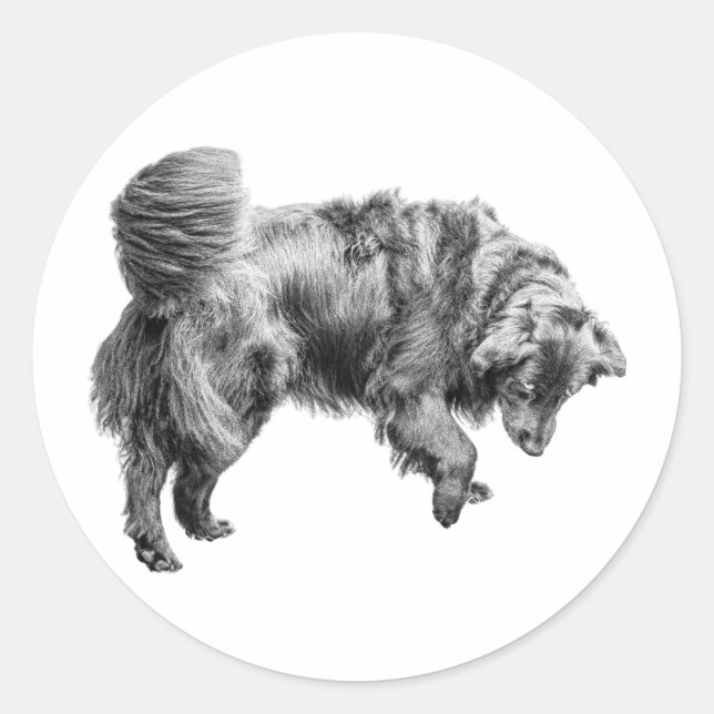 Fallen Leaf Moment Classic Round Sticker (Front)