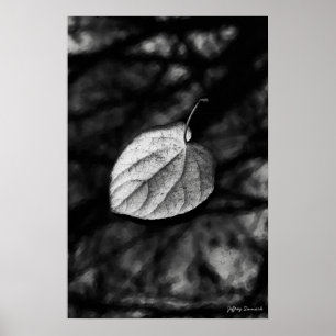 Fallen Leaf Poster