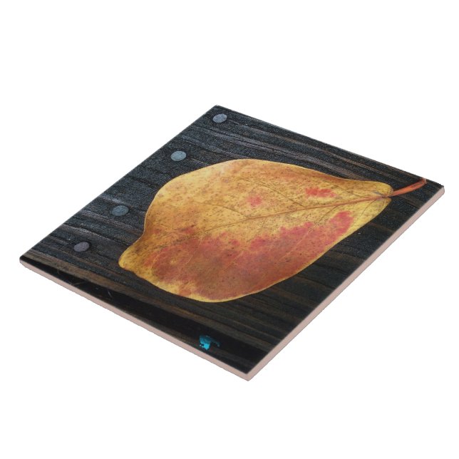 Fallen Leaf Tile (Side)
