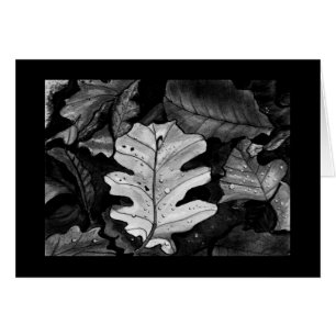 Fallen Leaves Card
