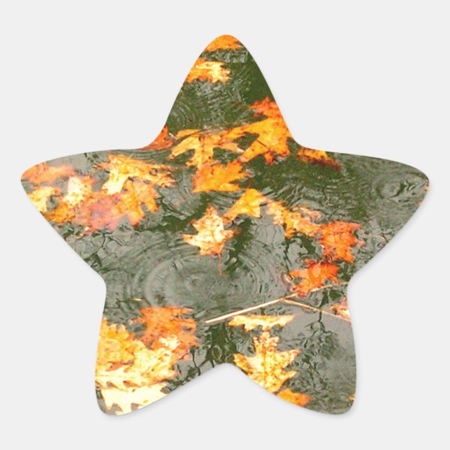 fallen leaves in rain star sticker (Front)