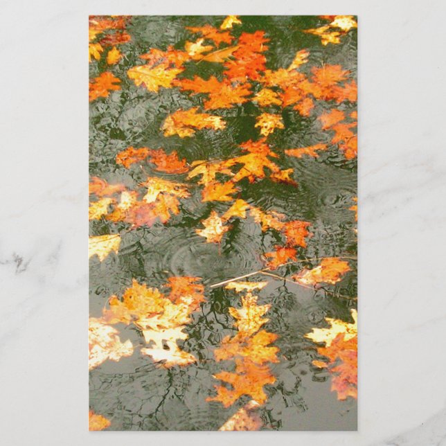 fallen leaves in rain stationery (Front)